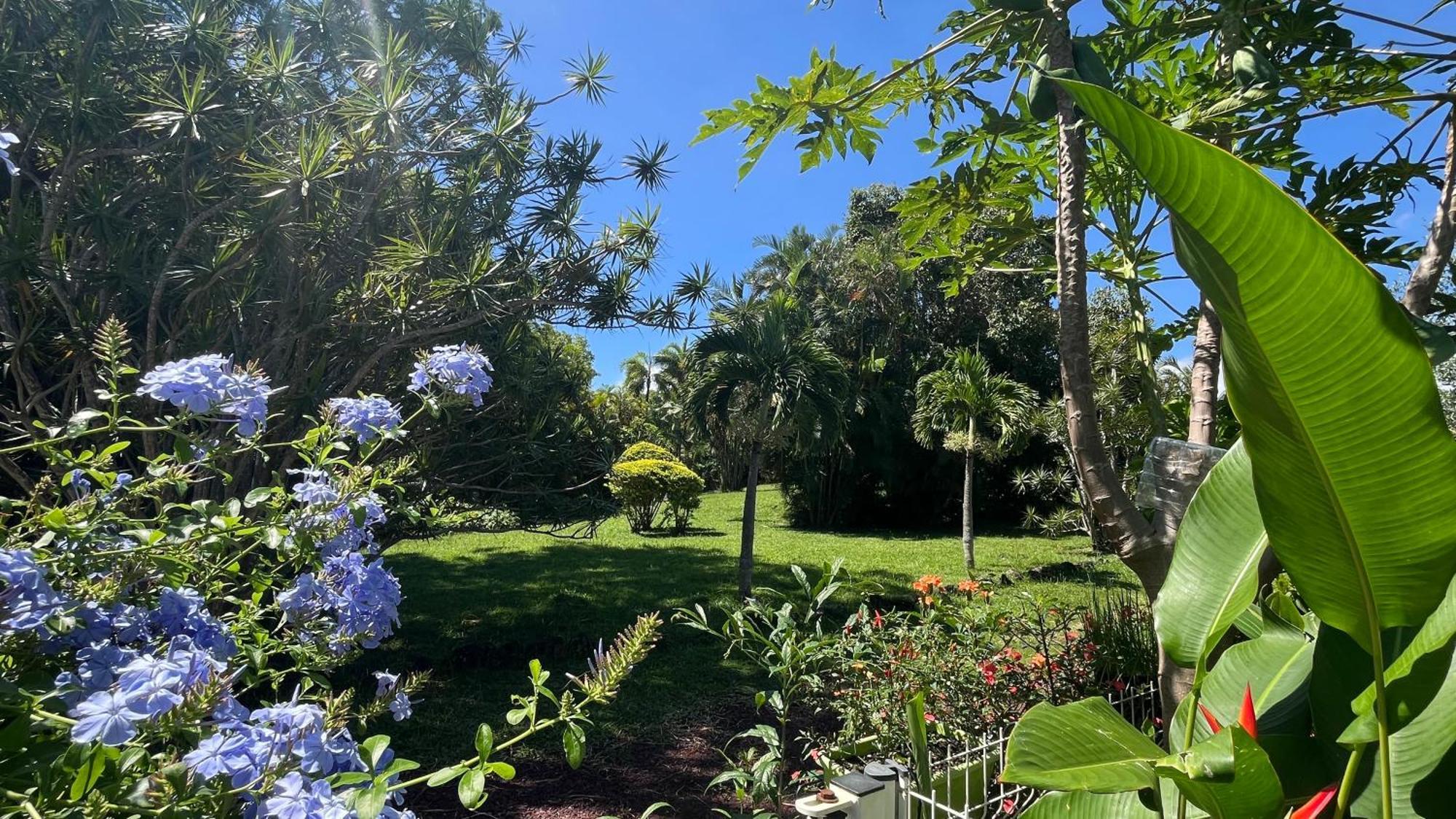 Le Jardin Kerveguen, Calme, Confort Et Deco Unique, Mer A 8 Min, St Pierre-Tampon 400 لو تامبون المظهر الخارجي الصورة